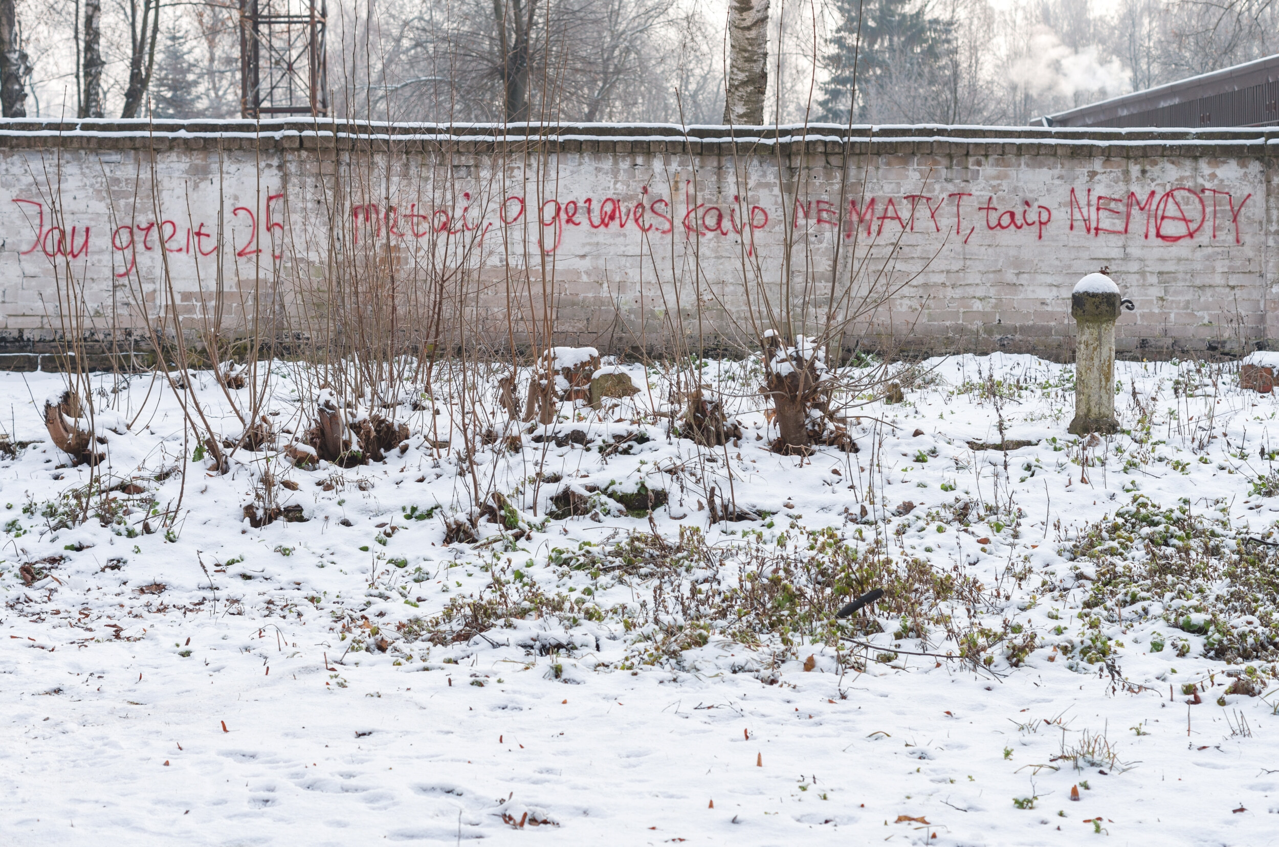 Gatvės menas Kaune I - Jau greit 25 metai, o gerovės kaip nematyt, taip nematyt - Vilmanto Ramono nuotr.