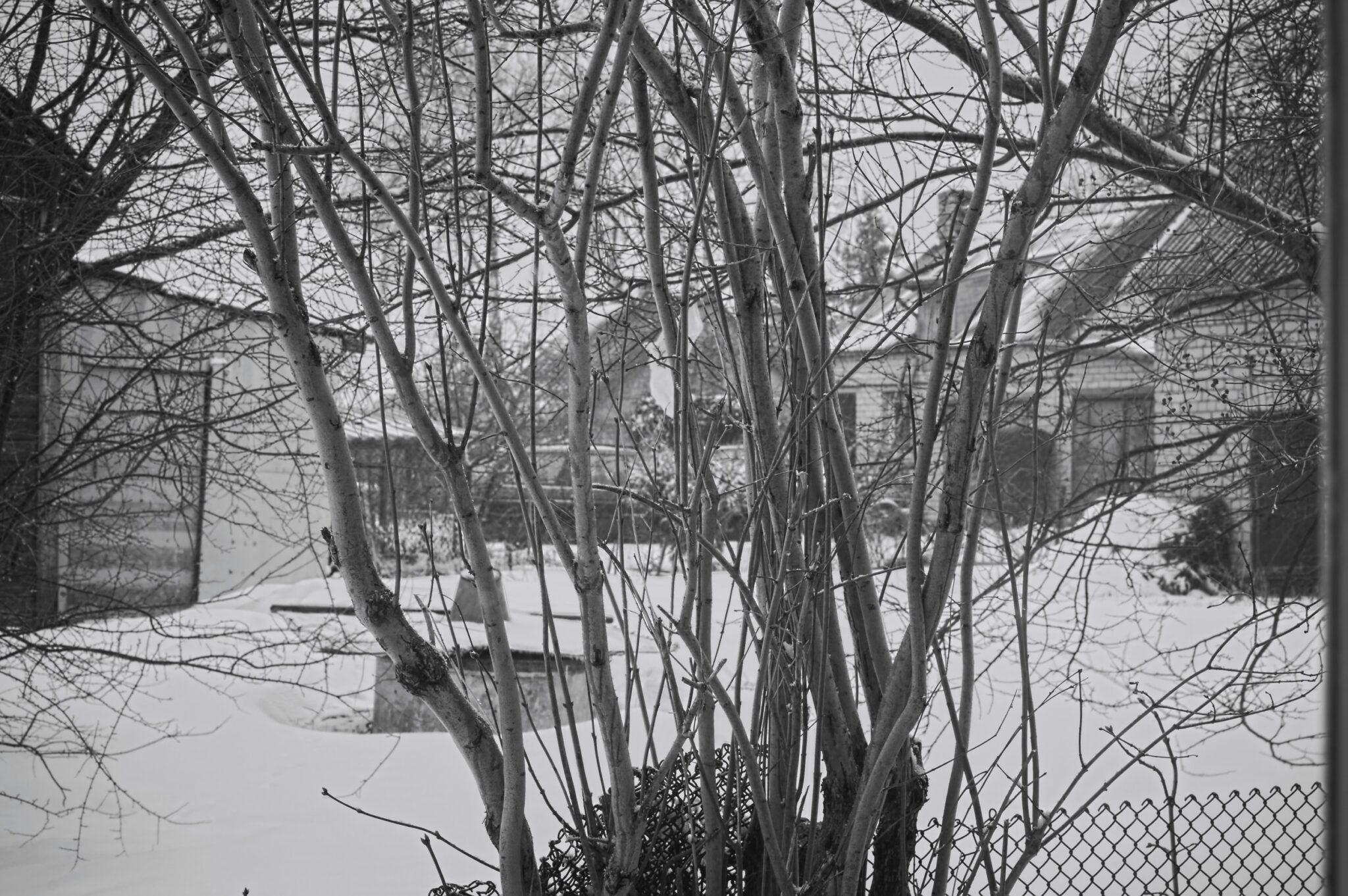 Archyvai I - vaizdas pro langą žiemą