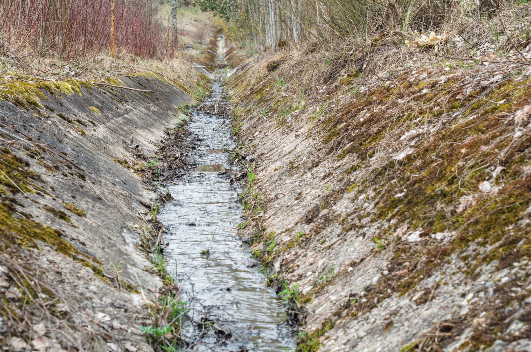 Archyvai II - upelis šalia Kauno hidroelektrinės - Vilmanto Ramono nuotr.