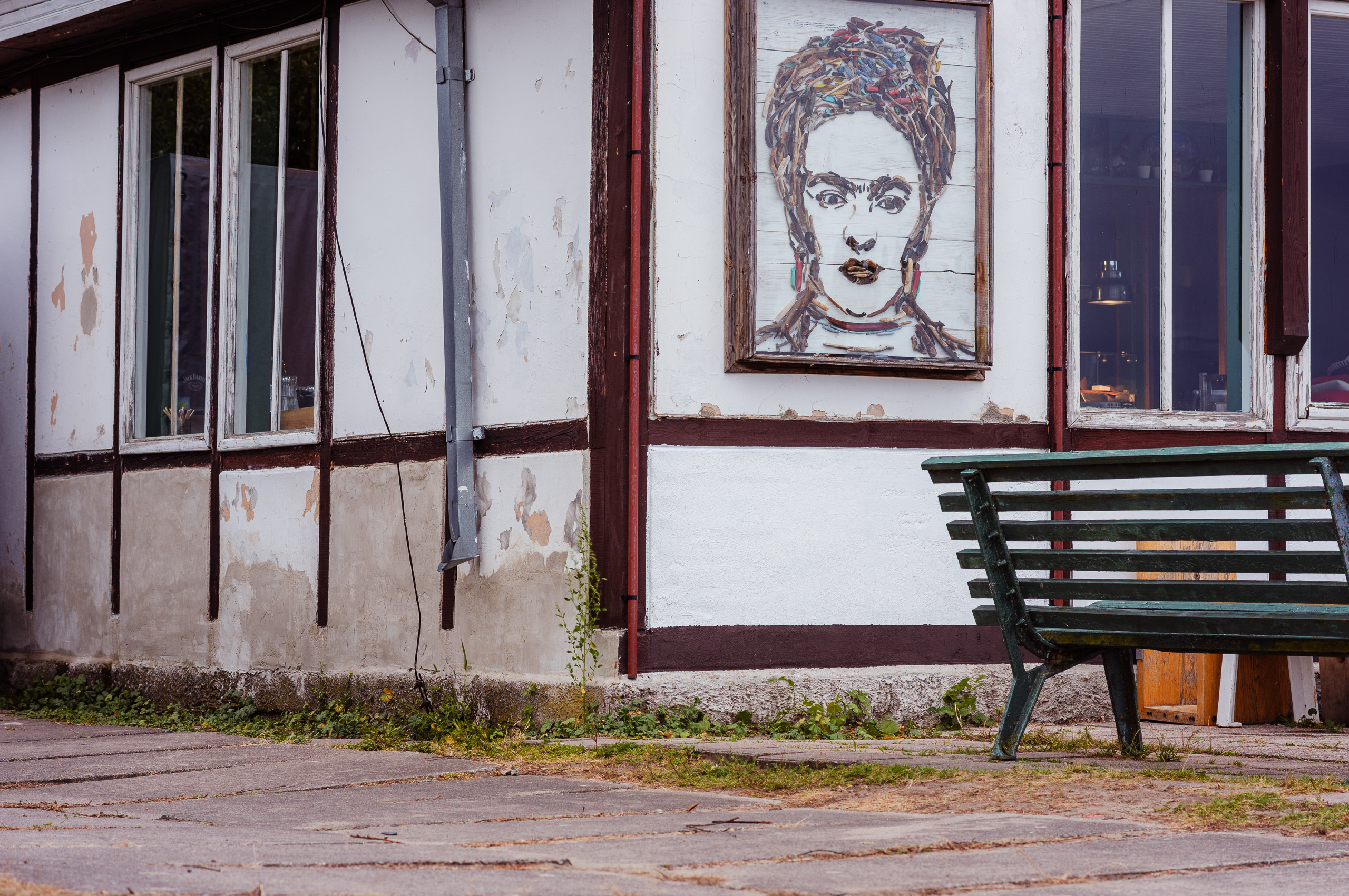 Frida Kahlo siluetas iš pagaliukų - Vilmanto Ramono nuotr.