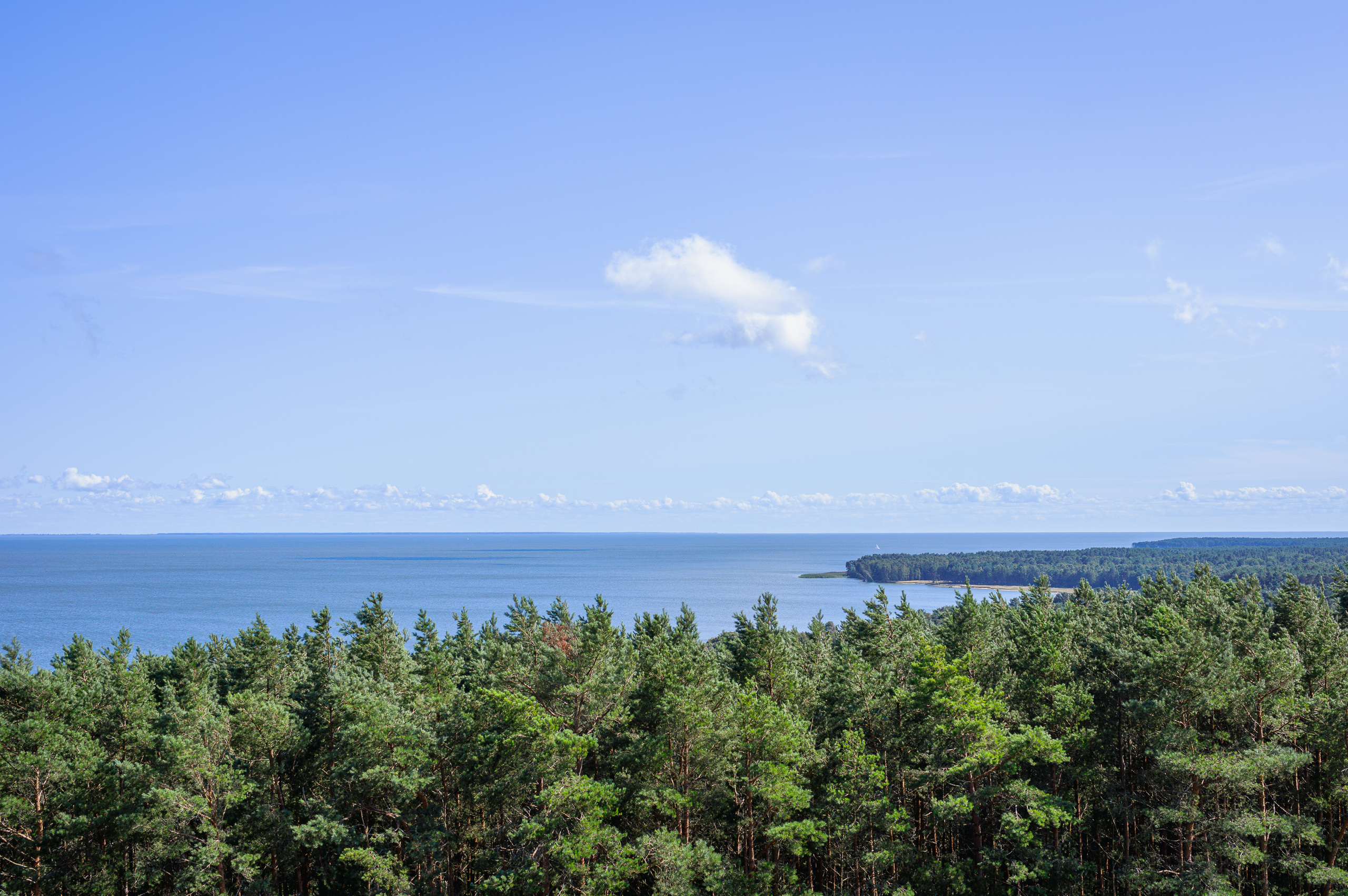 Kuršių nerija II - vaizdas nuo Menininkų kopos Preiloje - Vilmanto Ramono nuotr.