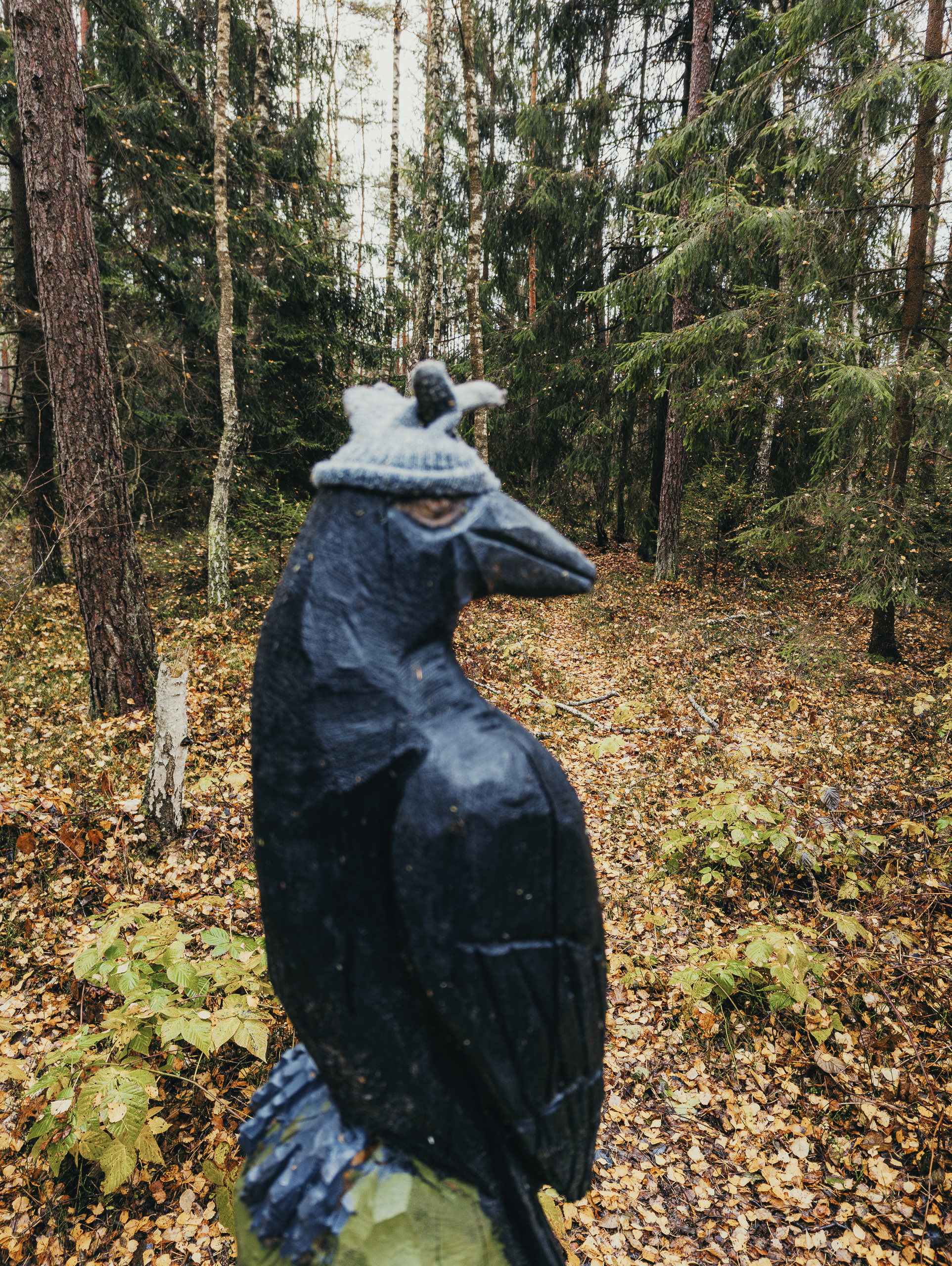 Miškas Varnikų pažintiniame take - juodos medinės varnos - Varnikų pažintinio tako simbolis - Vilmanto Ramono nuotr.