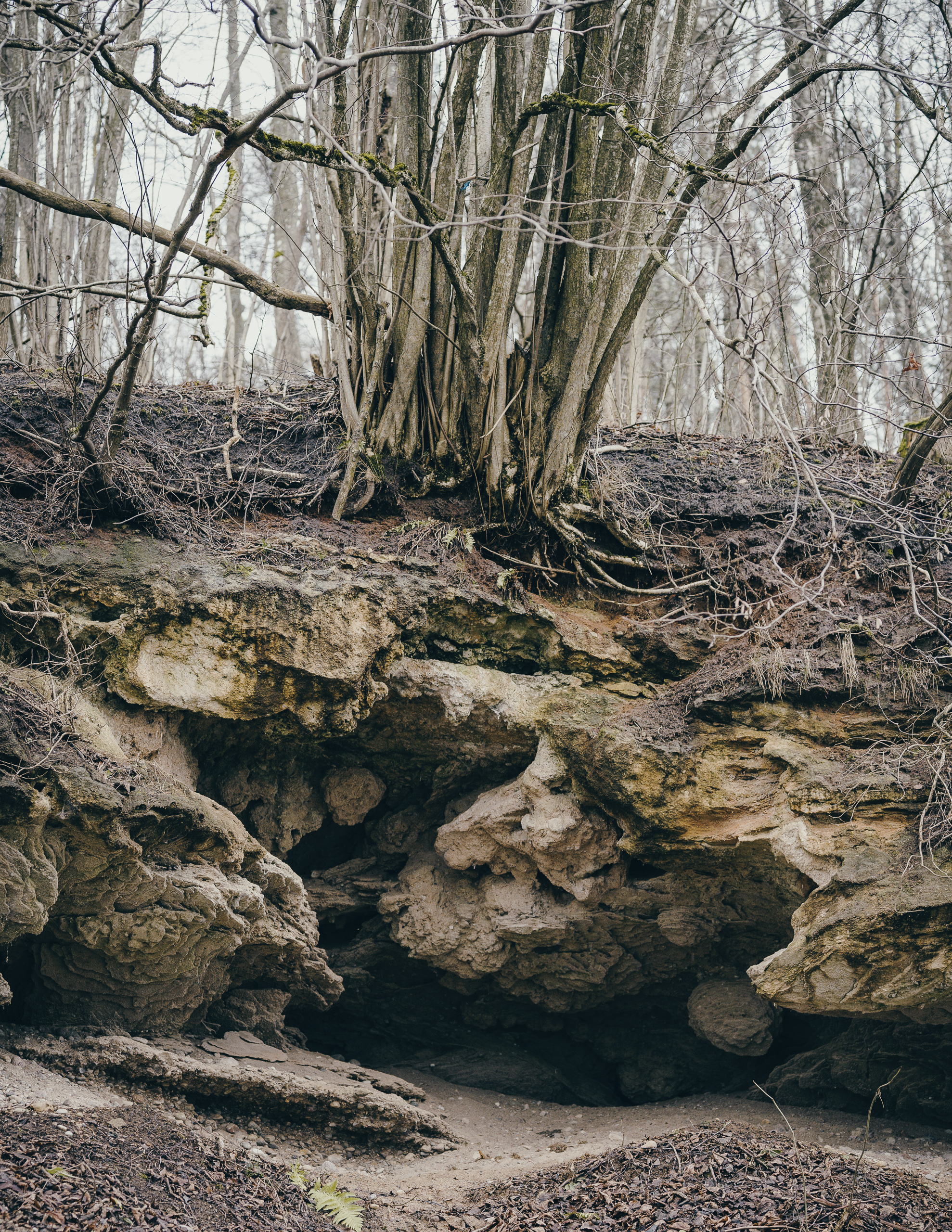 Žiegždrių geologinis takas - Vilmanto Ramono nuotr.