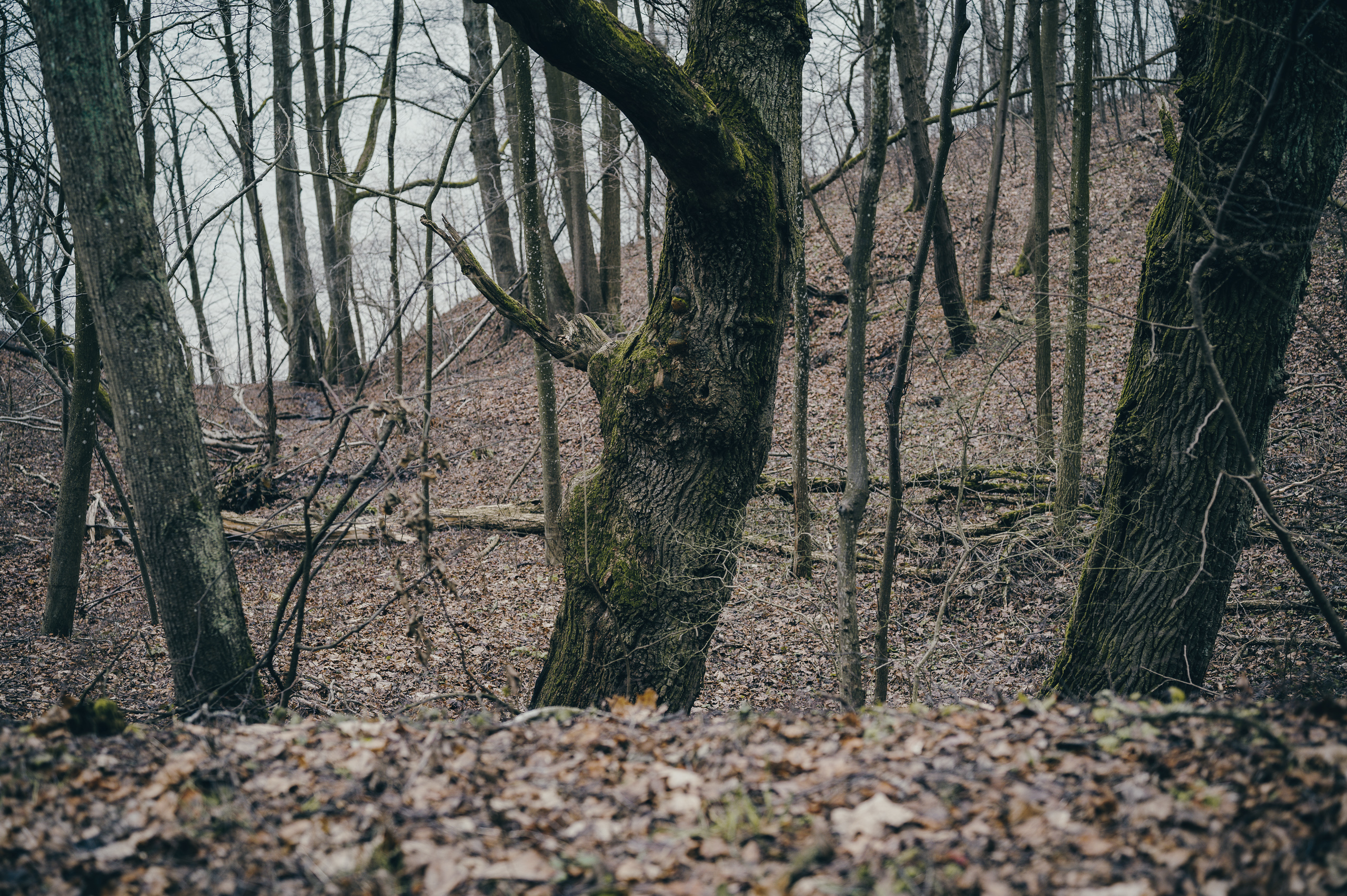 Žiegždrių geologinis takas - Vilmanto Ramono nuotr.