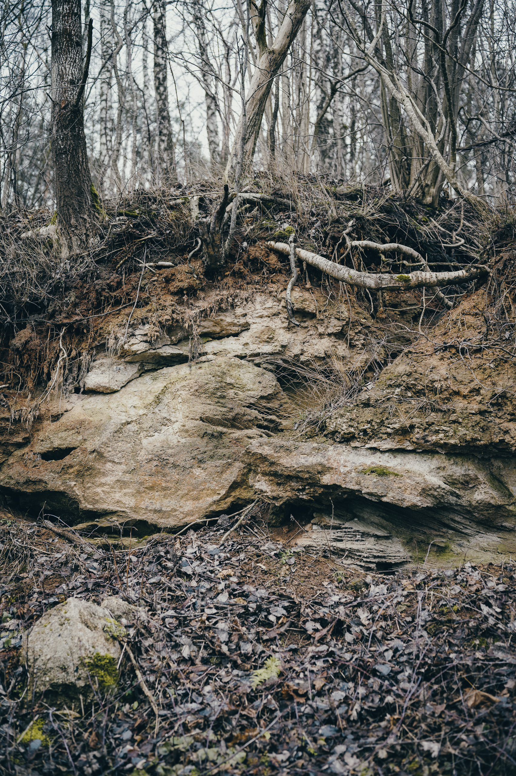 Žiegždrių geologinis takas - Vilmanto Ramono nuotr.